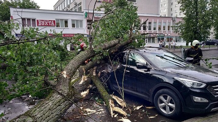 В Бобруйске дерево упала на авто в котором сидела женщина