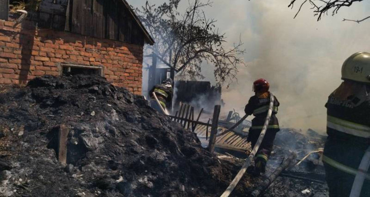 В Рогачевском районе внуки пришли к деду в гости и устроили пожар. Восьмилетняя девочка в реанимации, ее из огня вынес случайный прохожий