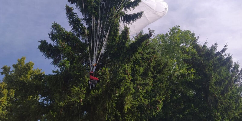 парашют на дереве