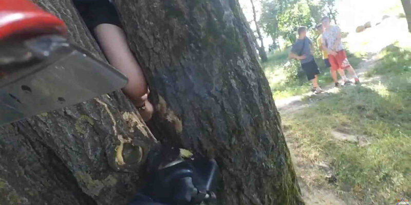 застряла нога в дереве