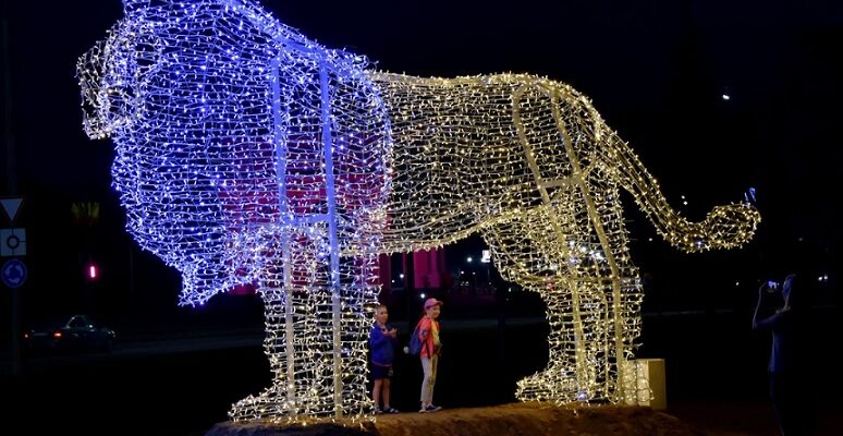 На въезде в Могилев установили большого светодиодного льва