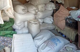 В Буда-Кошелевском районе сотрудники милиции при проверке информации выявили факт хищения зерна.