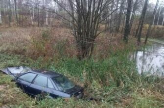 Машина упала в болото