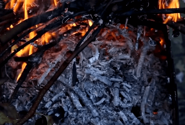 Зола после сжигания древесины