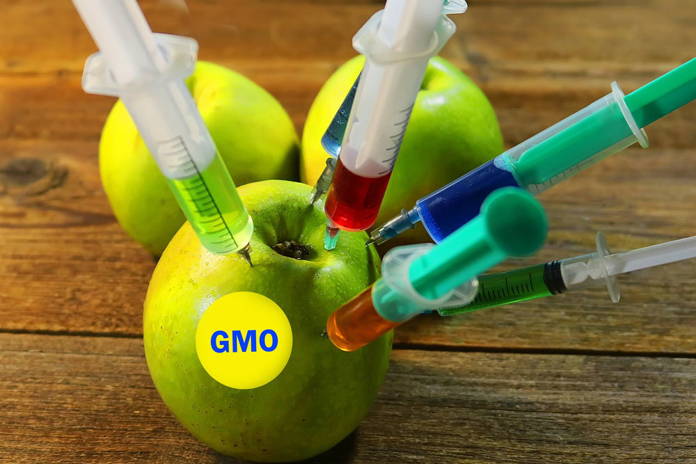 Генномодифицированные (ГМО) продукты: за и против, есть ли вред