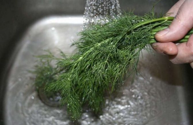 Правильное хранение сушеной зелени – как заготовить зелень на зиму