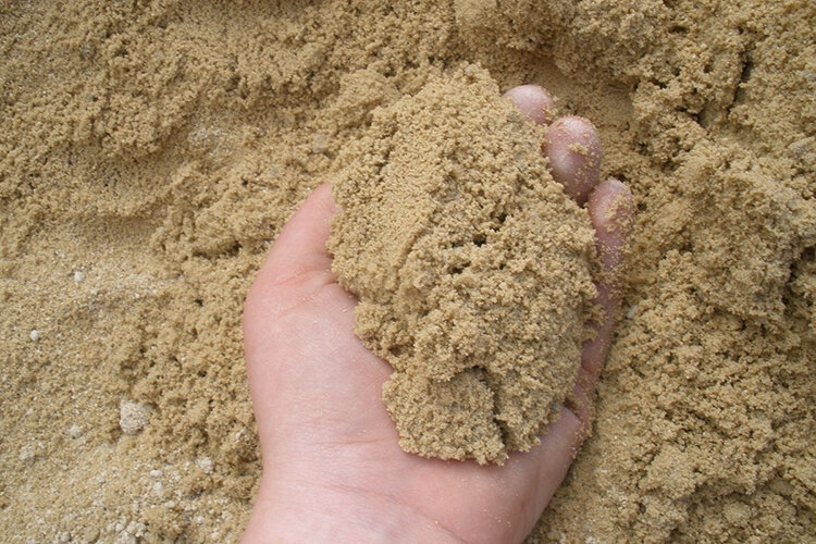 Песчаный сад: какие цветы и травы растут на песчаной почве, что выращивать