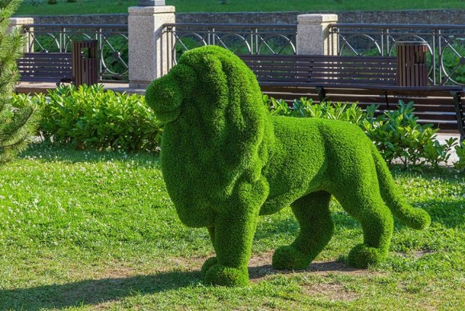 Зеленые садовые скульптуры: как называются, как сделать своими руками