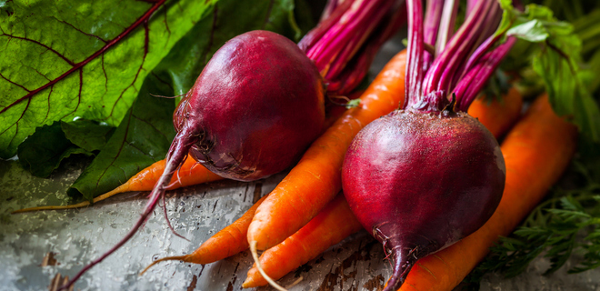Помощь в росте и развитии: чем подкормить морковь и свеклу в июле?