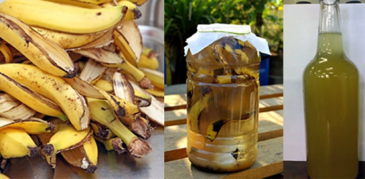 Настой из банановой кожуры: применение в качестве удобрения для огорода