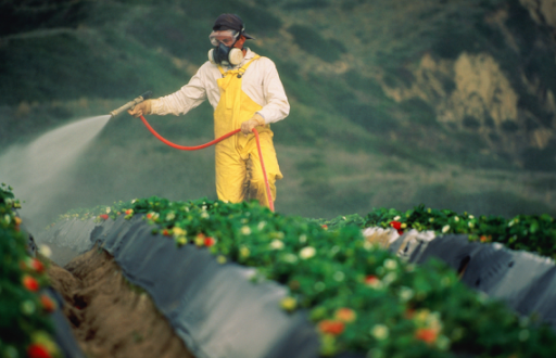 Пестициды и химические удобрения: применение и меры предосторожности
