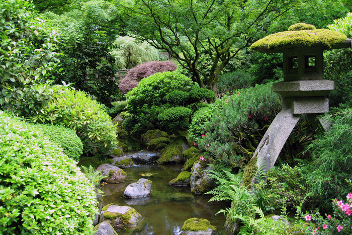 Садик в японском стиле: какие растения использовать и как высаживать