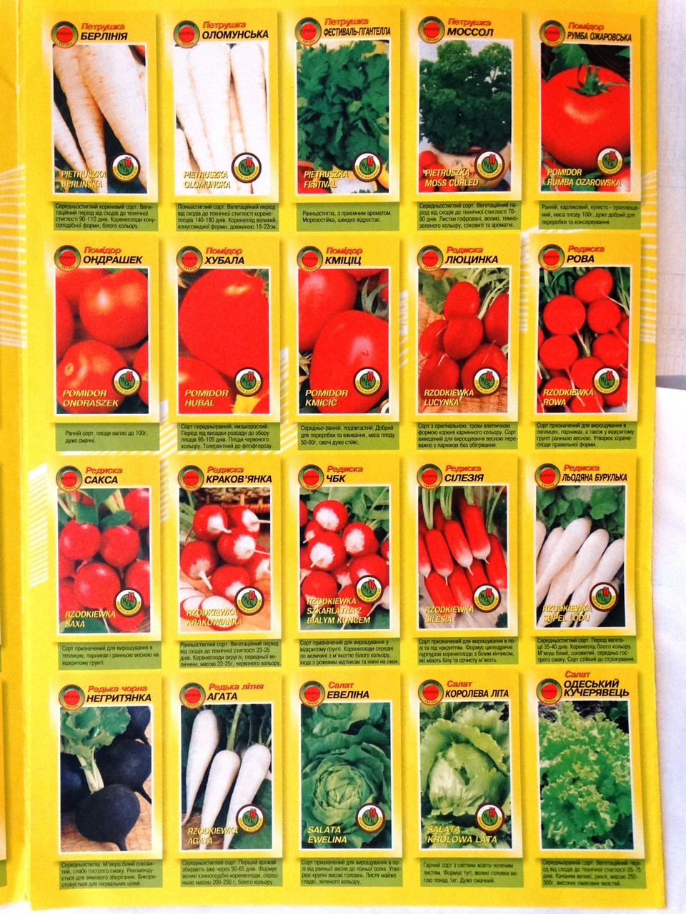 Когда лучше покупать семена овощей: правила выбора хороших семян