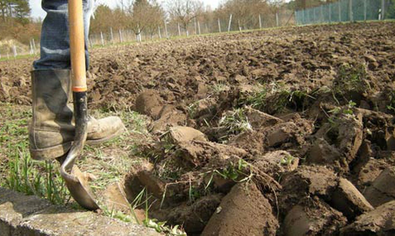 Как правильно вскапывать огород вручную лопатой: сколько раз и когда