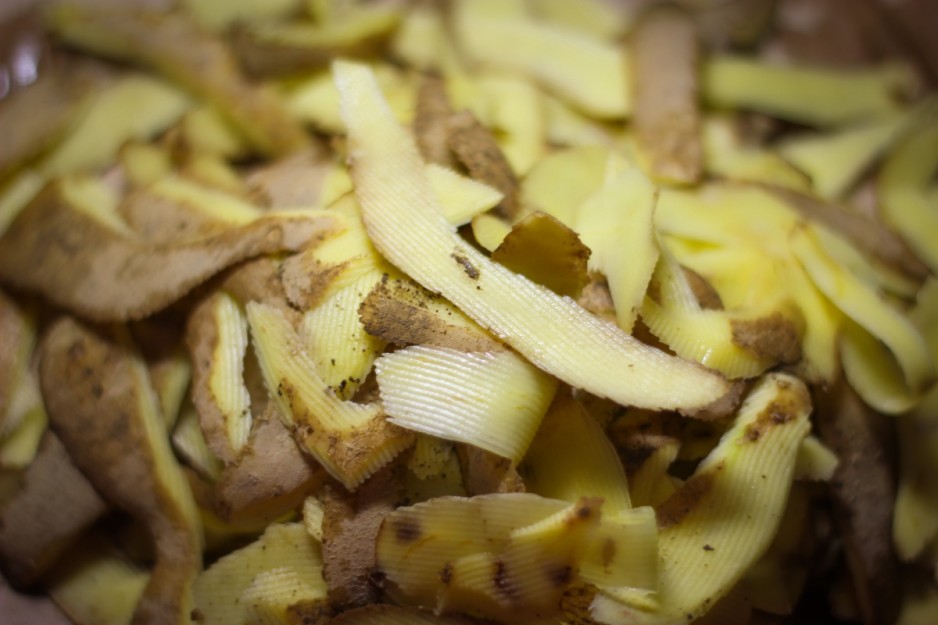 Удобрение смородины картофельными очистками: как правильно подкормить