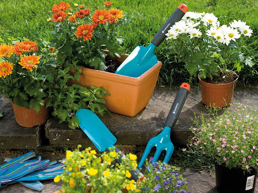 Дача и сад: полезные советы для начинающих садовников и огородников