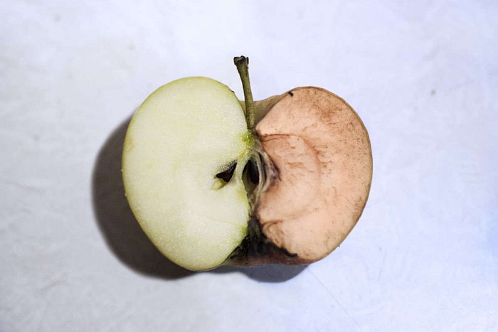 Основные причины почему яблоки портятся и темнеют внутри (фото)