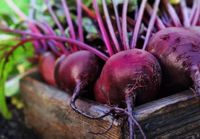 Овощи и фрукты фиолетового цвета: фото, названия, полезные свойства