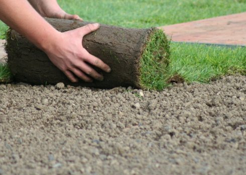 Можно ли стелить рулонный газон на песок? Технология посадки