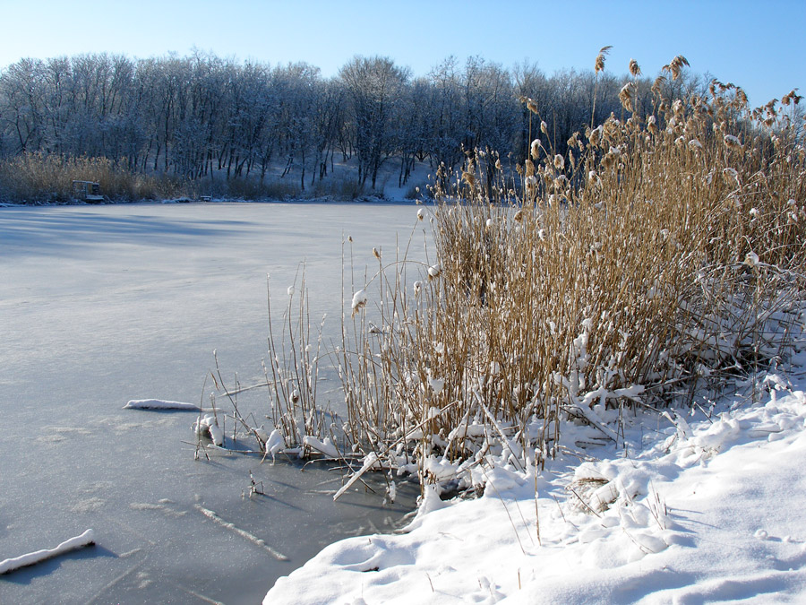 Замерзший пруд – что с ним делать и как его содержать в холодное время года?