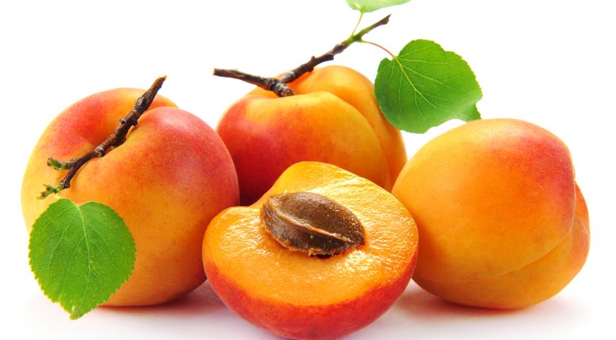 Как правильно ухаживать за абрикосом и где растут в России: полезные факты
