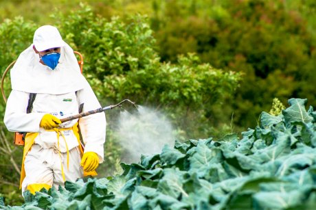 Обработка огорода от вредителей: виды химических препаратов