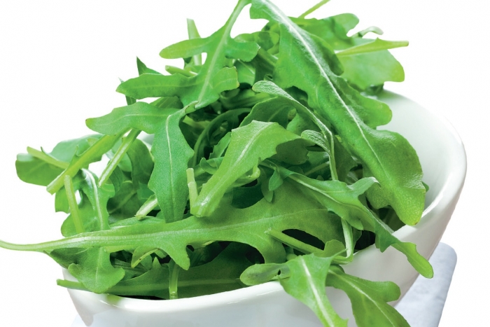 Вредители на рукколе, укропе, салате: чем обработать растения