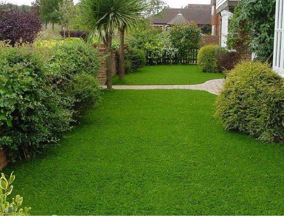 Дизайн газона перед домом – идеи от экспертов. Как красиво оформить газон?