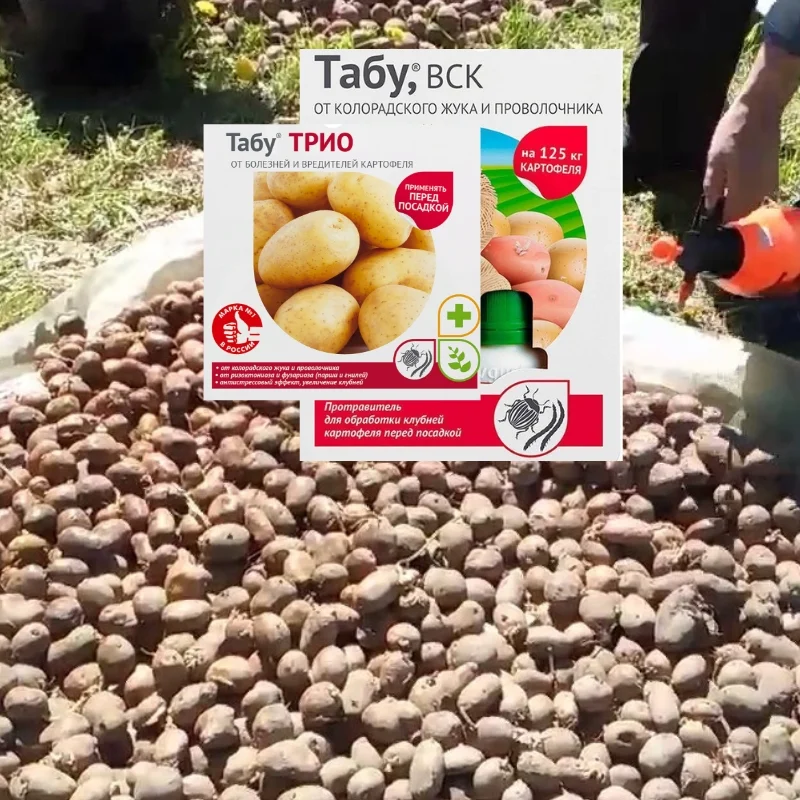 Табу трио для обработки картофеля – инструкция по использованию средства