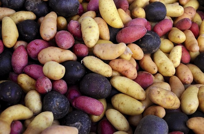 О вечном: как правильно хранить картошку в погребе и квартире
