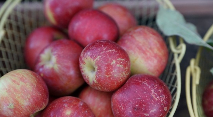 Моченые яблоки: тонкости приготовления и 8 рецептов