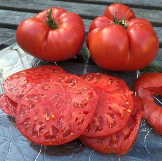 Лучшие сорта крупноплодных томатов: обзор перспективных
