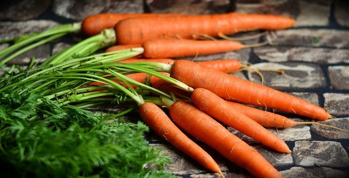 Когда сажать морковь весной: сроки, правила и 3 секрета