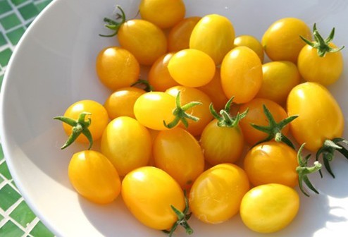 Сорта томатов черри: лучши из лучших на 2019-2020 гг