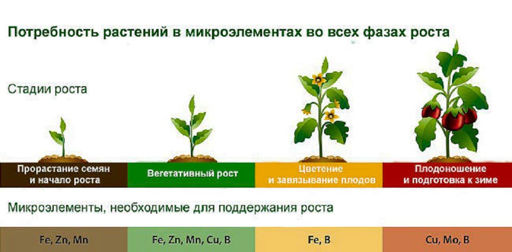 Минеральное питание овощных растений