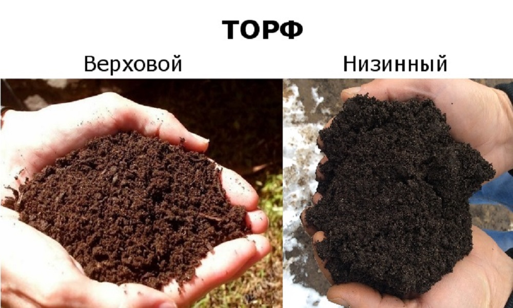 Торф польза и вред