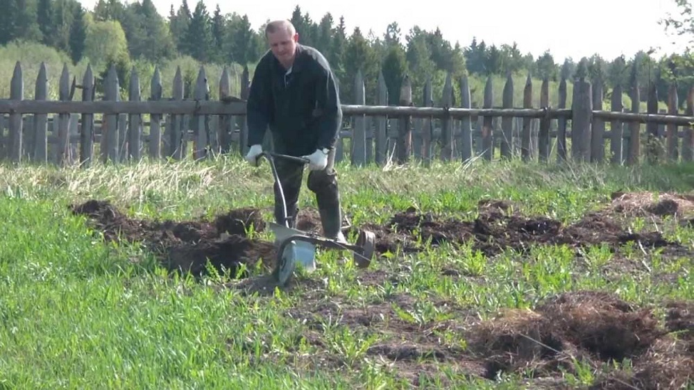 Безотвальная обработка почвы: особенности методики, и какие преимущества дает её использование?