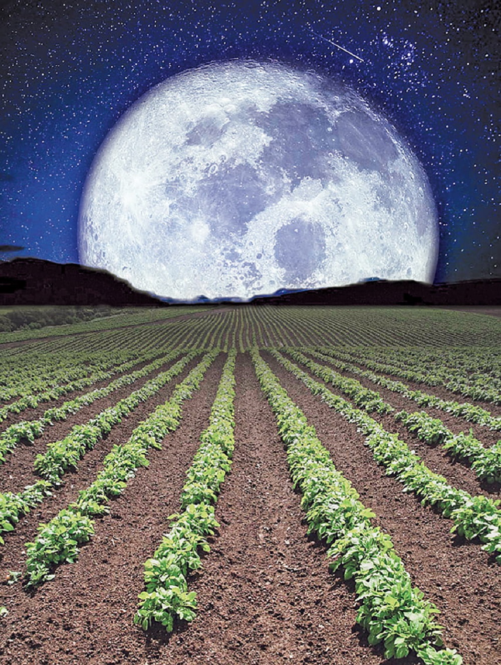 Влияние фаз Луны на огород