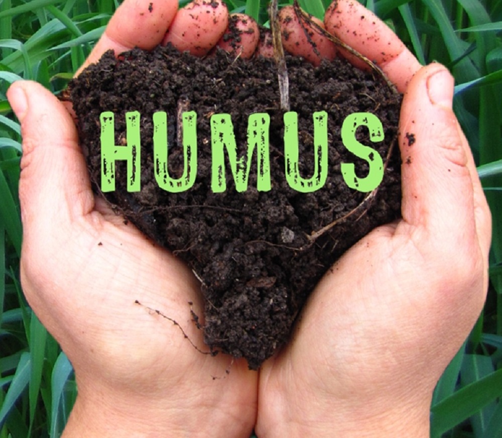 Гумус – бесценное и уникальное природное удобрение