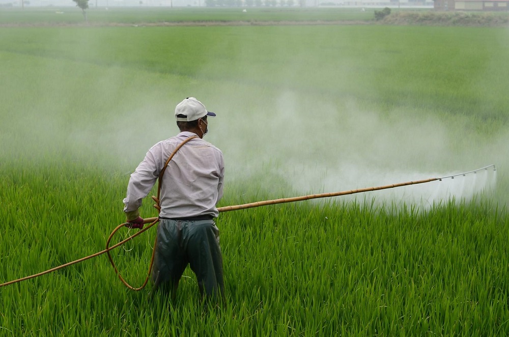 Использование пестицидов в садоводстве и огородничестве: разновидности и особенности применения