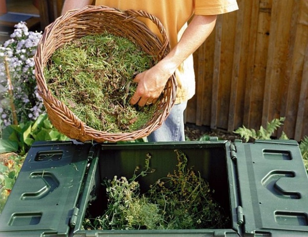 Использование растительных отходов с пользой: советы огородникам