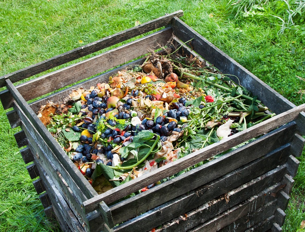 Использование растительных отходов с пользой: советы огородникам