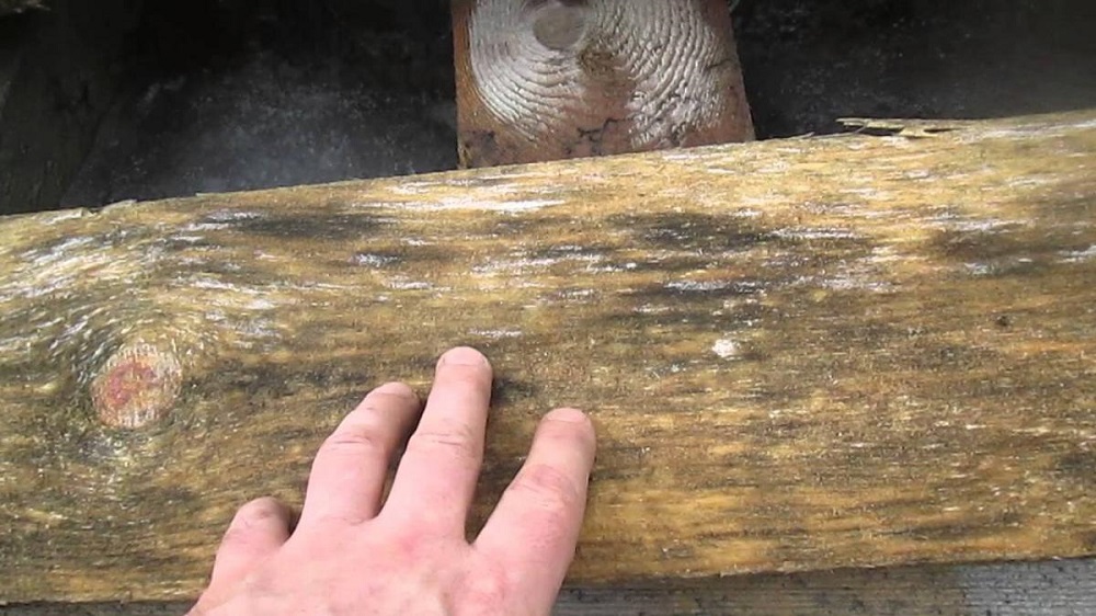 Как избавиться от грибка в деревянном доме навсегда?