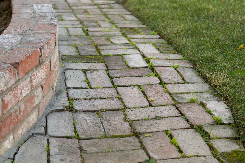 Как избавиться от травы между тротуарной плиткой: простые и эффективные способы