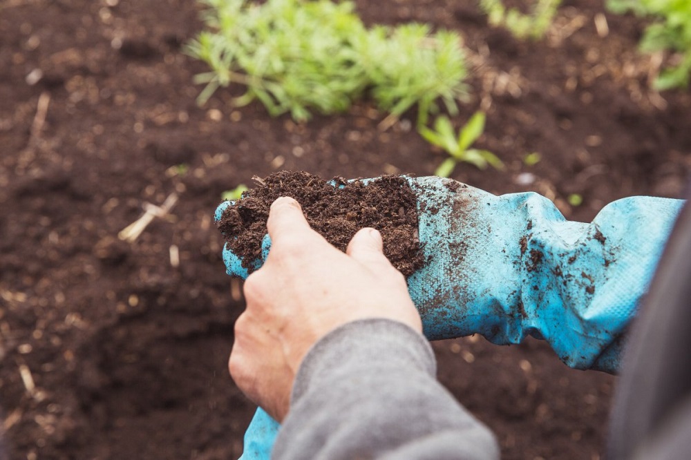 Плодородие почвы: что это такое, и как его сохранить?