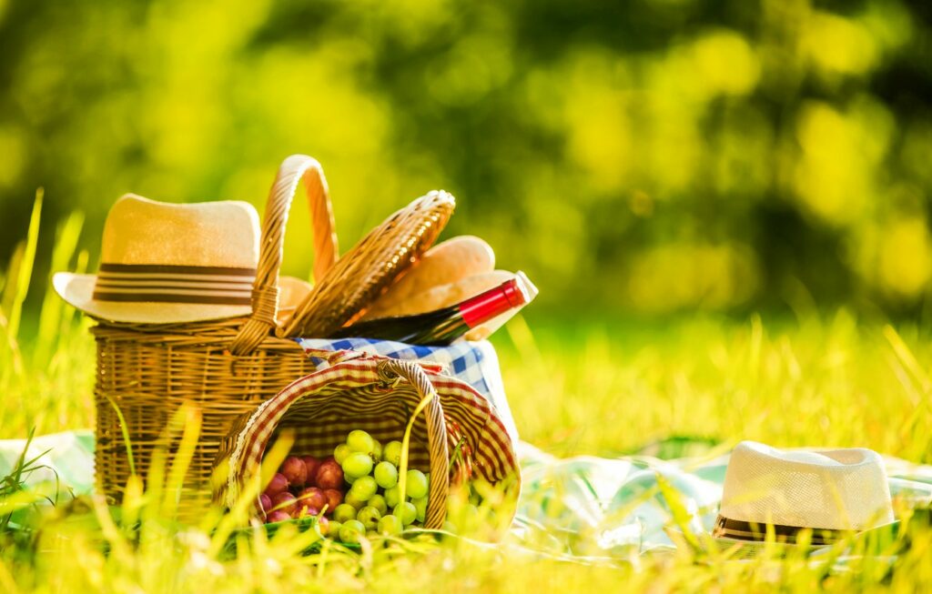 Простые и быстрые рецепты закусок для пикника на природе