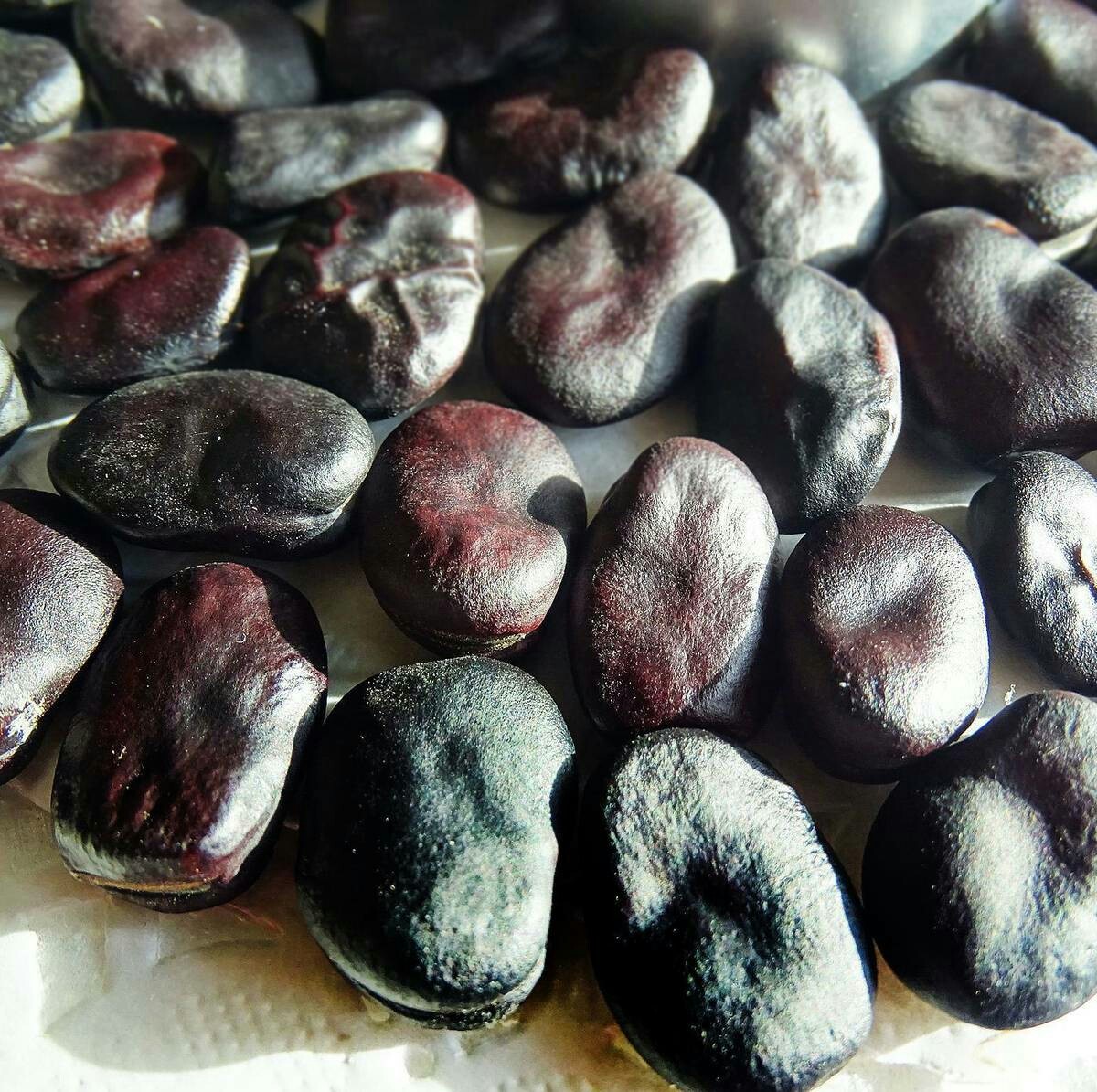 Рецепты приготовления черных бобов