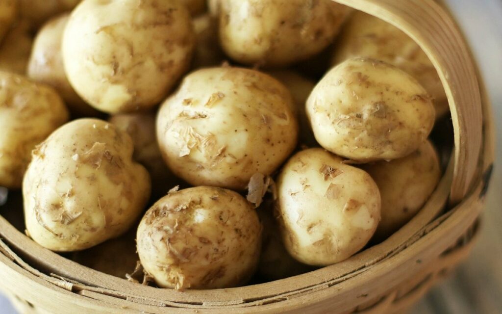 Семена картофеля: как правильно выбрать и сохранить