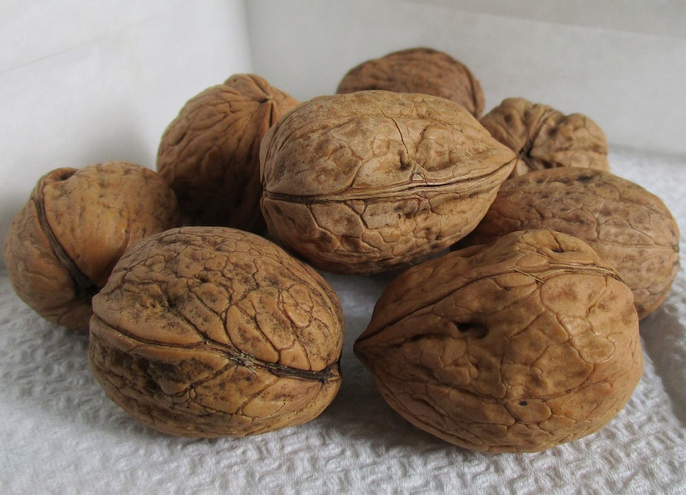 Чем колоть грецкие орехи, как их правильно собирать, сушить и хранить?