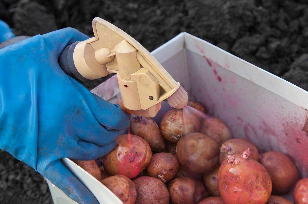 Чем обработать картофель от фитофторы: эффективные средства